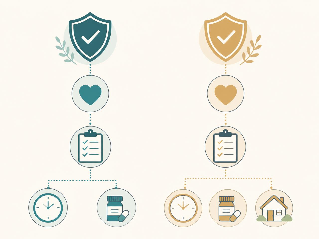 Flat infographic comparing hospice and palliative care pathways in a nursing home using shield, heart, clipboard, clock and medication icons